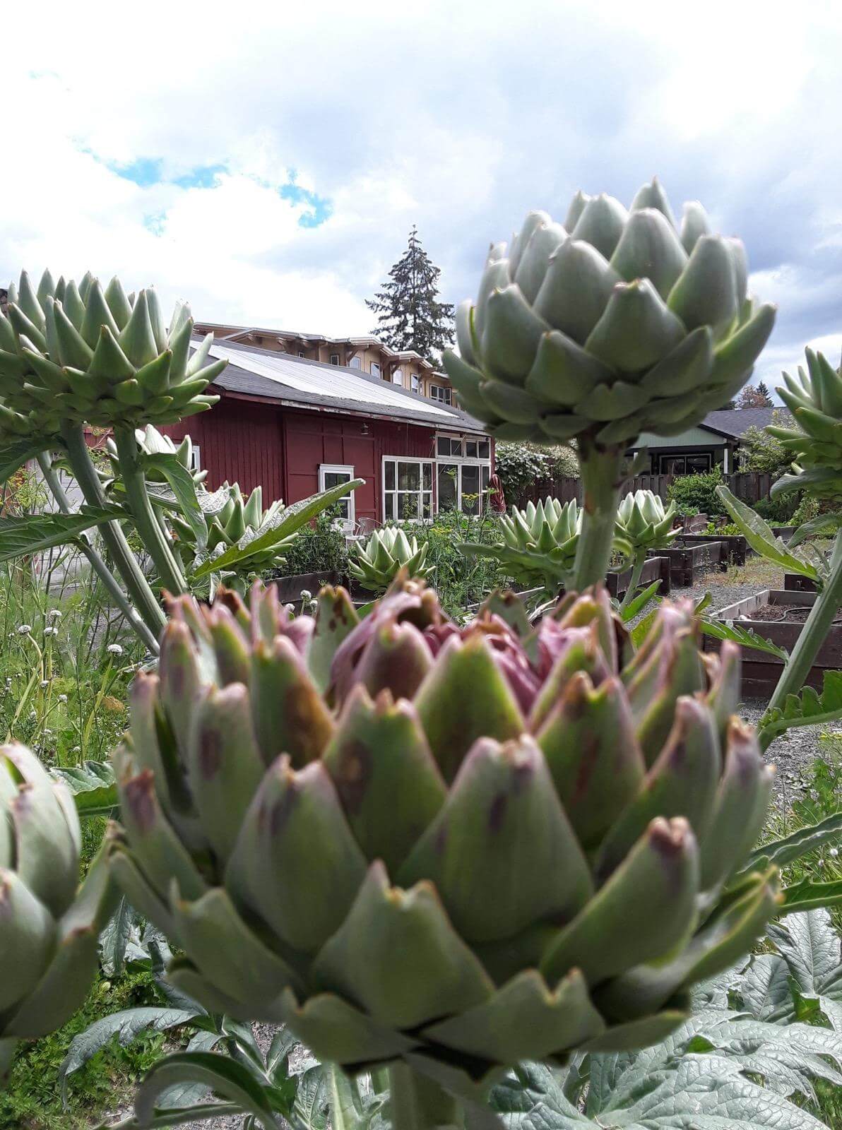 Alzheimers Care Facility Tigard Oregon